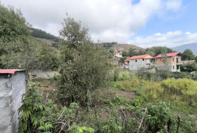 فروش زمین ۹۰۰ متری در سوادکوه روستای اساس