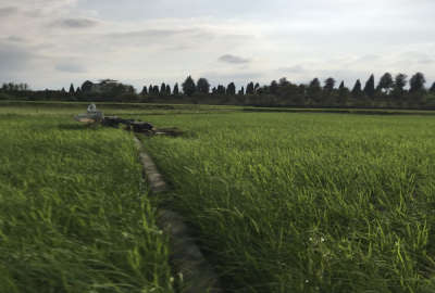 فروش زمین کشاورزی بندپی شرقی روستای کاشیکلا ۱۹۴۰ متر