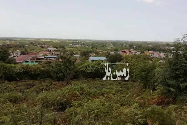 زمین ۶۹۹ متر همراه خانه در لاهیجان لیالستان - تصویر 3