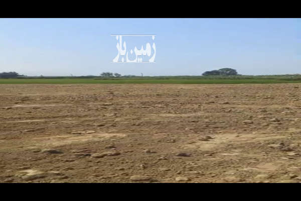 زمین باغی ۲۰۰۰ متر آمل دابودشت سه راه آهنگرکلا-4