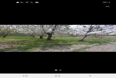 باغچه ۵۵۰ متر واقع در مارلیک خوشنام با آب هوای مطلوب