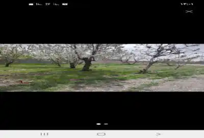باغچه ۵۵۰ متر واقع در مارلیک خوشنام با آب هوای مطلوب