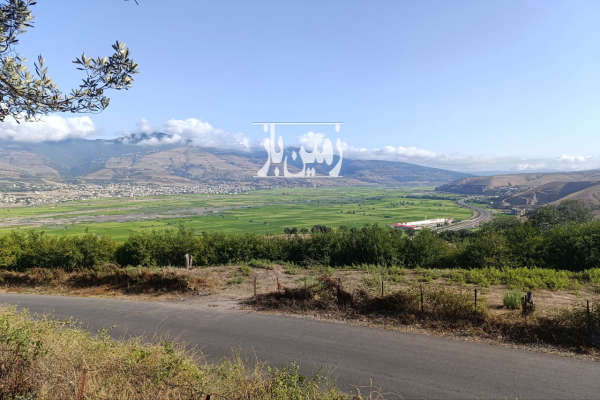 زمین باغی ۶۰۰ متر توتکابن روستای کیاآباد-3