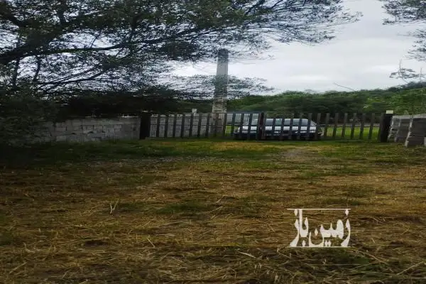 فروش زمین باغی ۶۰۰ متر توتکابن روستای کیاآباد - تصویر 3