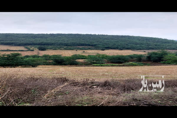 زمین زراعی دودانگه رسکت سفلی ۷۰۰۰ متر-1