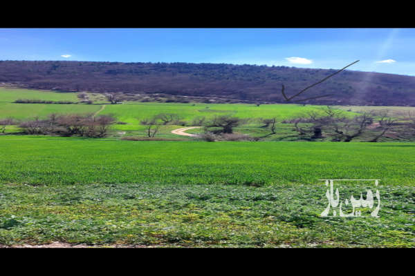 زمین زراعی دودانگه رسکت سفلی ۷۰۰۰ متر-3