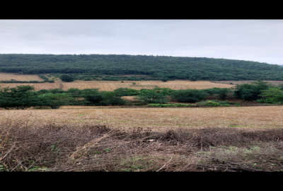 زمین زراعی دودانگه رسکت سفلی ۷۰۰۰ متر