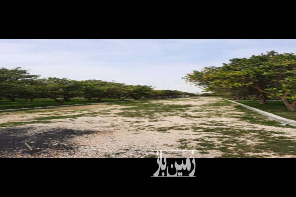 فروش زمین روستای آسیابسر جاده قائمشهر ۳۰۲ متر-2