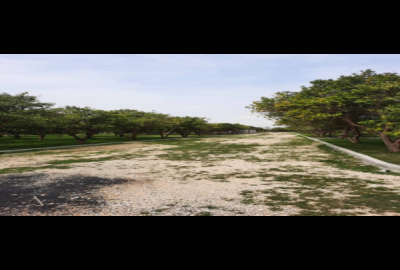 فروش زمین روستای آسیابسر جاده قائمشهر ۳۰۲ متر