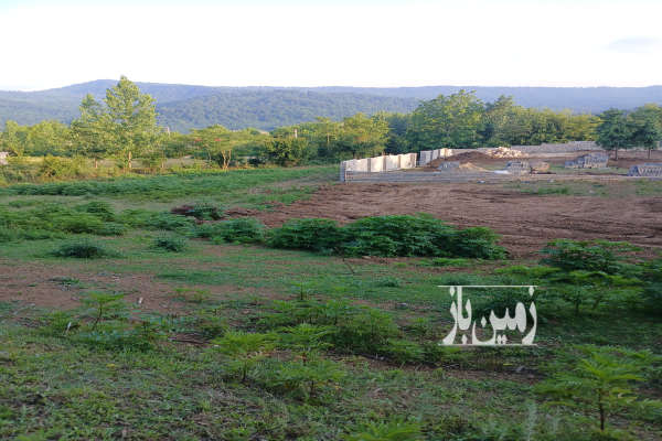 زمین فروشی ۱۲۷۵ متر بلوار کشاورز روستای امره-1