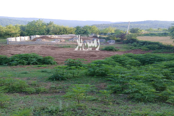 زمین فروشی ۱۲۷۵ متر بلوار کشاورز روستای امره-2