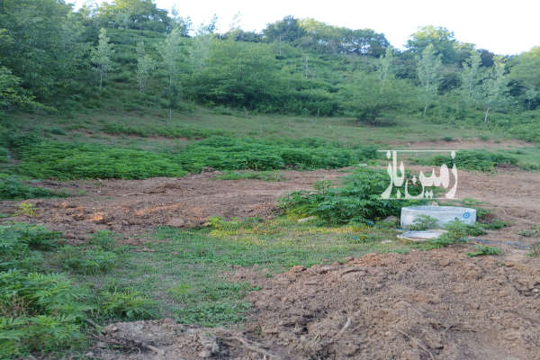 زمین فروشی ۱۲۷۵ متر بلوار کشاورز روستای امره-3