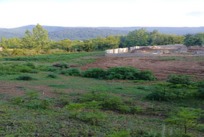 زمین فروشی ۱۲۷۵ متر بلوار کشاورز روستای امره
