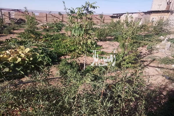 باغ با امکانات ۱۱۰۰ متر سبزوار جوین روستای بید خور-3