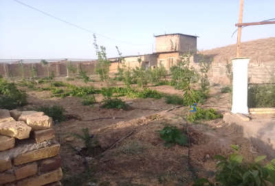 باغ با امکانات ۱۱۰۰ متر سبزوار جوین روستای بید خور