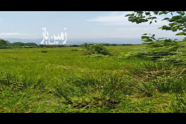 فروش زمین ۱۴۰ متر در سورم مسکونی با پروانه ساخت-1
