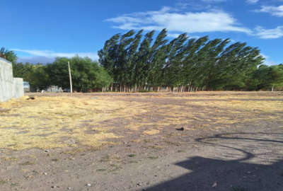 فروش زمین مسکونی ۸۰۰ متر خلخال روستای اندبیل