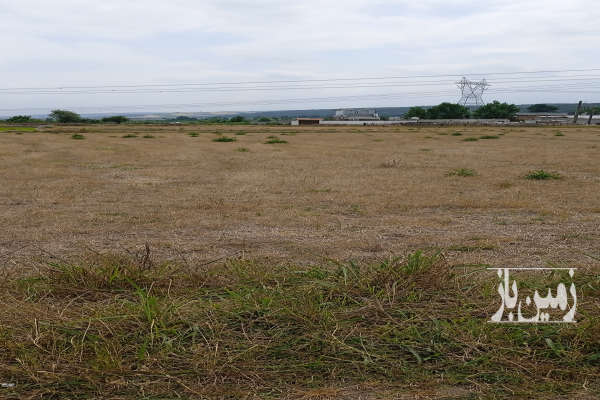 زمین تجاری مسکونی ۳۰۰ متر در ساری هولا سه راه شهید زارع-3