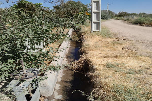 باغ هشت ونیم من در روستای سرج به خوشه مهر-1
