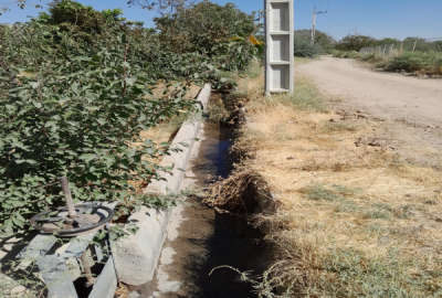 باغ هشت ونیم من در روستای سرج به خوشه مهر