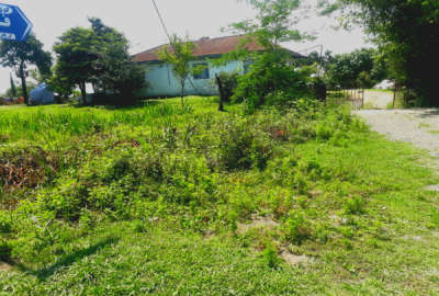 زمین مسکونی ۵۰۰ متری پره سر روستای ساحلی دیناچال