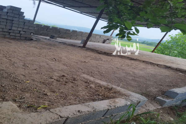 زمین مسکونی ۲۱۵ متر در تنگه لته پرچیکلا-3