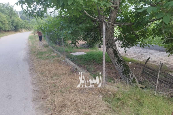 زمین مسکونی ۲۱۵ متر در تنگه لته پرچیکلا-4