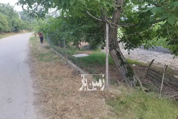 زمین مسکونی ۲۱۵ متر در تنگه لته پرچیکلا - تصویر 4