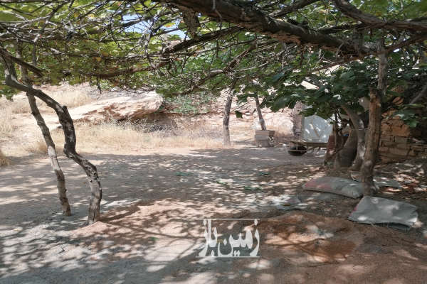 باغچه در محمودیه چمران با ۲۱۶۰ متر زمین-4