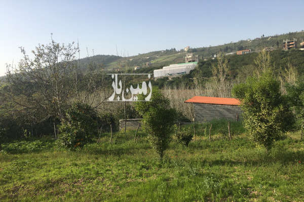 زمین ۳۵۰ متر تو بافت تنگه لته پایین کولا-2