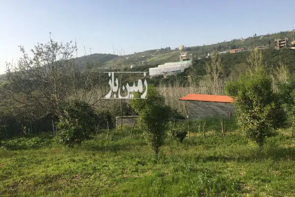 زمین ۳۵۰ متر تو بافت تنگه لته پایین کولا - تصویر 2