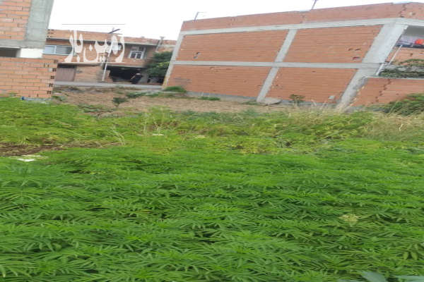 زمین مسکونی در ساری کمربندی جنوبی بلوارسلیم بهرامی ۱۰۰ متر-1