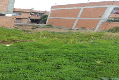 زمین مسکونی در ساری کمربندی جنوبی بلوارسلیم بهرامی ۱۰۰ متر