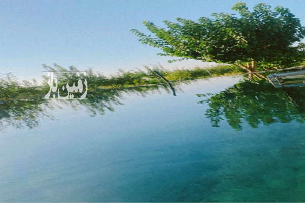 باغ ۷۸۰۰ متری در زنجان با درختان سرحال و بارده-3