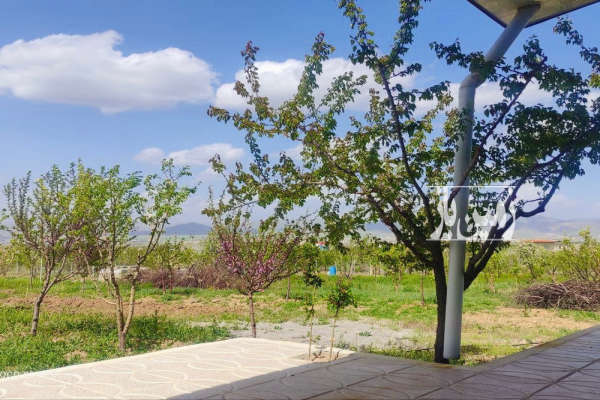 باغ ۷۸۰۰ متری در زنجان با درختان سرحال و بارده-4