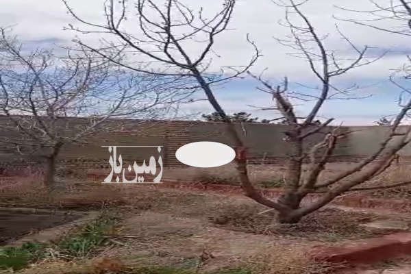 بینالود زمین مسکونی ۳۲۵ متر دور دیوار محله فرهنگیان-2