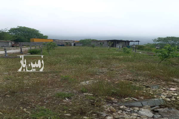 زمین ییلاقی خارج بافت با ویوی ابدی جنگل ۱۵۲۴ متر روستای شاهزید-4