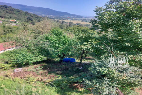 زمین مسکونی روستای ورمیه ماسال ۲۰۰ متر-2