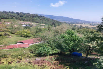 زمین مسکونی روستای ورمیه ماسال ۲۰۰ متر