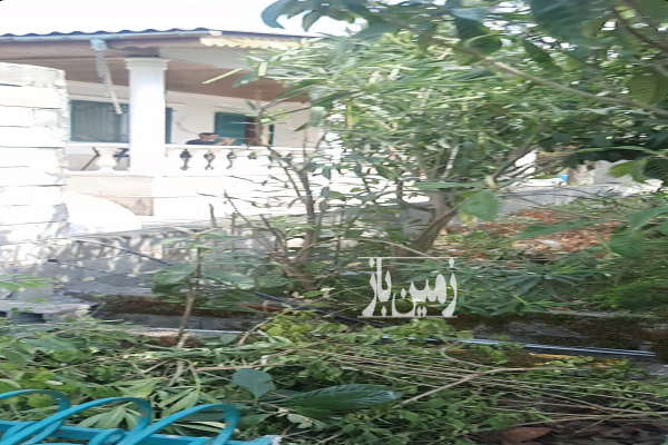 فروش زمین ۲۷۰ متری در تنکابن نعمت اباد جاده مازوبن-2