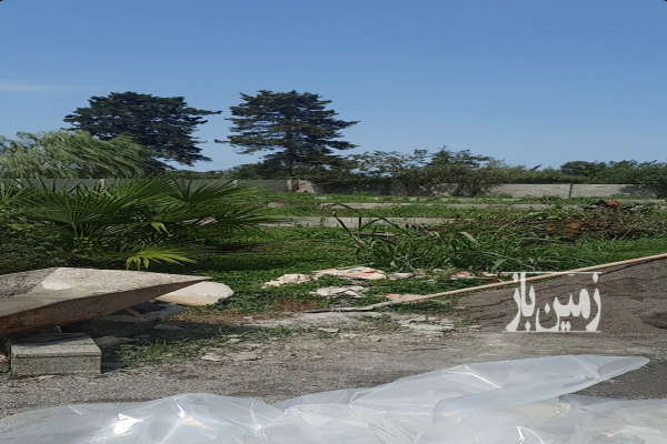 فروش زمین ۲۷۰ متری در تنکابن نعمت اباد جاده مازوبن-3