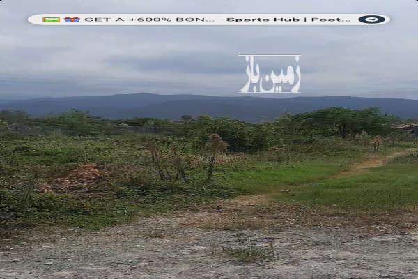 فروش زمین ۲۷۰ متری در تنکابن نعمت اباد جاده مازوبن-4