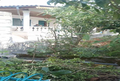 فروش زمین ۲۷۰ متری در تنکابن نعمت اباد جاده مازوبن