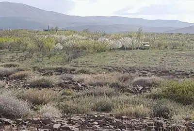 زمین کشاورزی ۲۰۰۰ متر واقع در چاه دادعلی رودبار