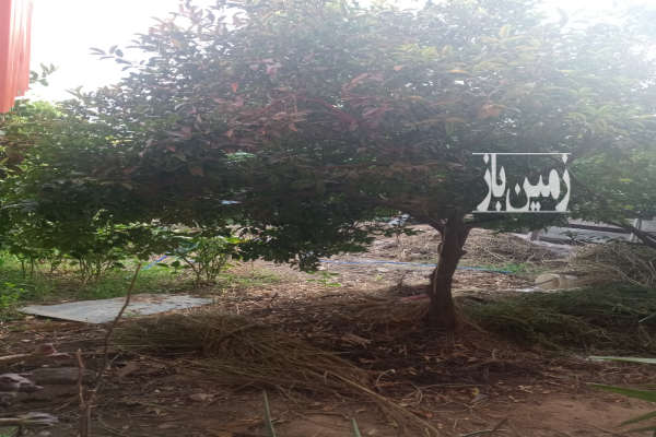 فروش زمین داخل بافت ۱۹۰ متر جاده دریا روستای اسفندان-1