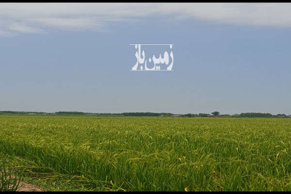 فروش زمین کشاورزی رودبنه روستای اکبراباد منطقه تازه سل-3