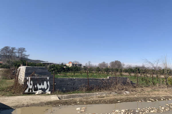 فروش باغ مرکبات چسبیده به بافت دو نبش بابلکنار محله امیرکلا-1