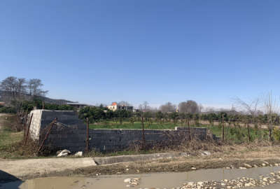 فروش باغ مرکبات چسبیده به بافت دو نبش بابلکنار محله امیرکلا