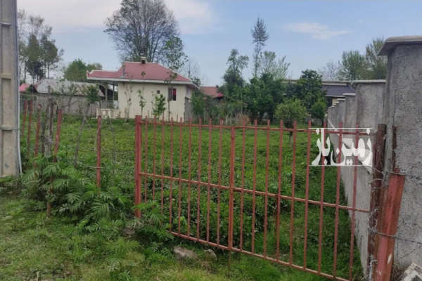 فروش زمین همراه جواز ساخت ۵۰۰ متری سردارجنگل روستای زیده-2