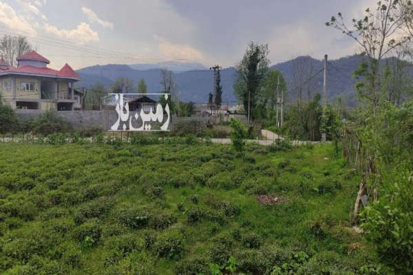 فروش زمین همراه جواز ساخت ۵۰۰ متری سردارجنگل روستای زیده-4